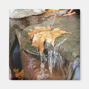 Höst löv i vattenfall II Höstfoto Magnet