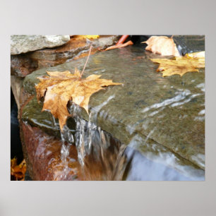 Höst löv i vattenfall II Höstfoto Poster
