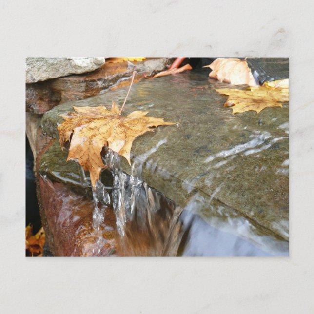 Höst löv i vattenfall II Höstfoto Vykort (Framsida)