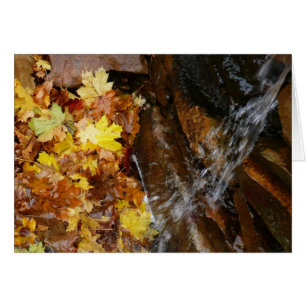 Höst löv i vattenfall III höstkaraktär Hälsningskort