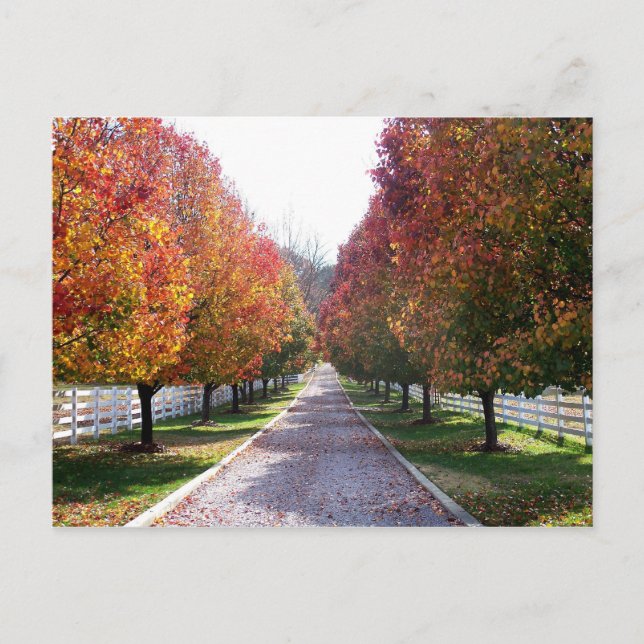 höst löv i Virginia Post Card Glen Allen VA Vykort (Framsida)