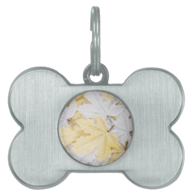 Höst löv ID-bricka husdjur (Framsidan)