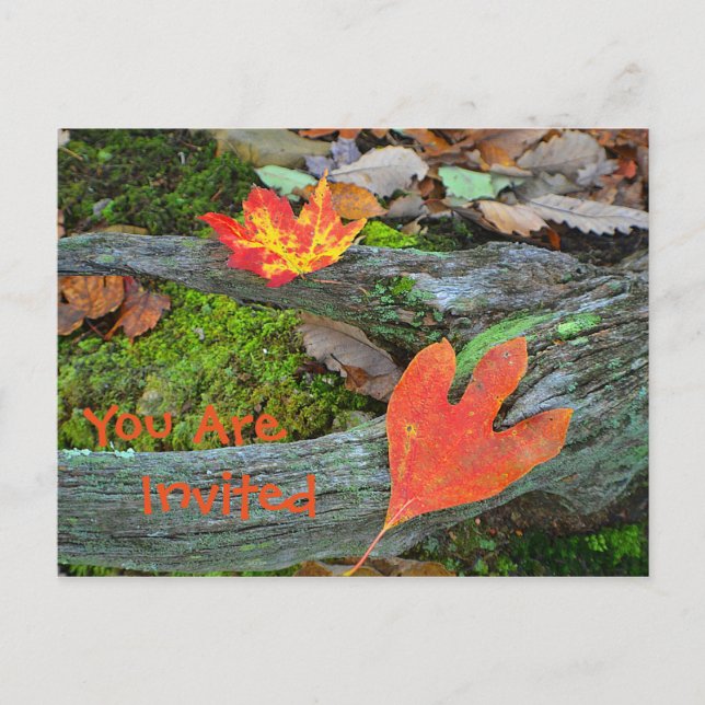 Höst löv-inbjudan inbjudan vykort (Framsida)