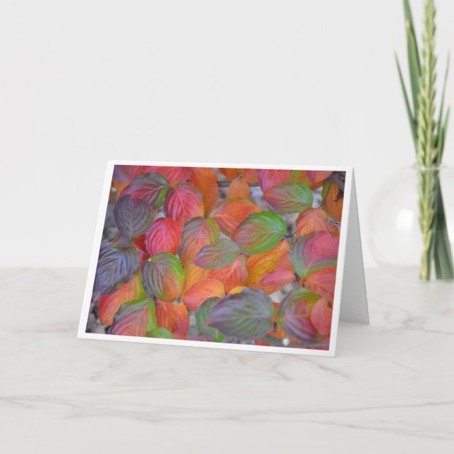 Höst löv kort (Framsida)