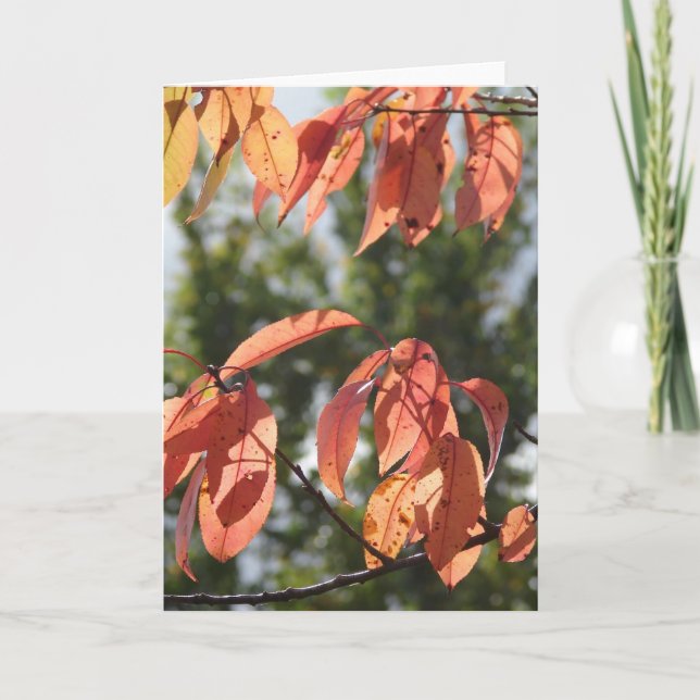 Höst löv kort (Framsida)