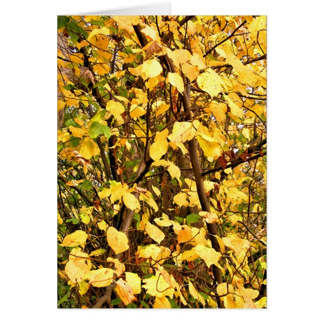 HÖST LÖV-KORT HÄLSNINGSKORT (Framsidan)