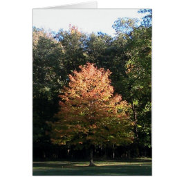 Höst löv-kort (mall) OBS kort