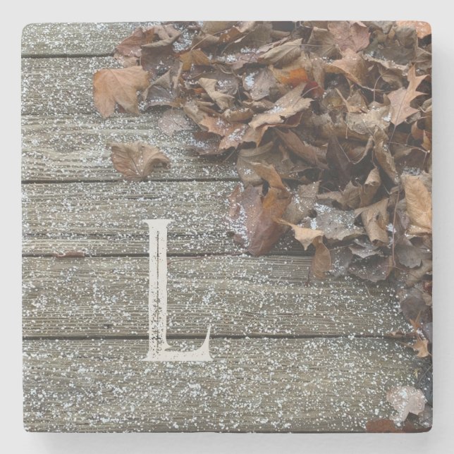 Höst löv med snö iPhone/iPad-väska Stenunderlägg (Framsidan)