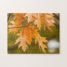 Höst löv närliggande fotopussel