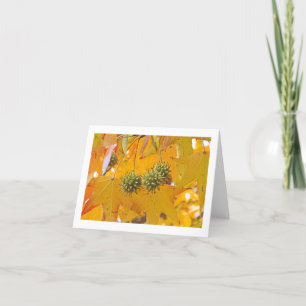 "HÖST LÖV" NOTECARD (PHTOG) KORT
