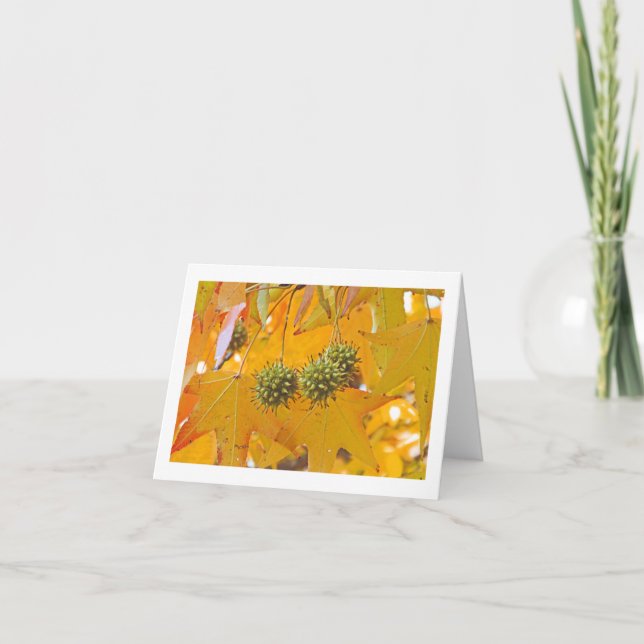 "HÖST LÖV" NOTECARD (PHTOG) KORT (Framsida)