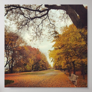 Höst löv NYC Riverside Park New York Fall Art Poster