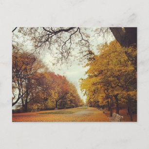 Höst löv NYC Riverside Park New York Fall Vykort