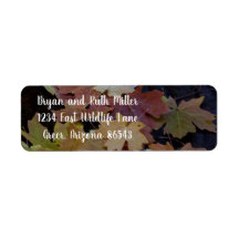 Höst löv överallt