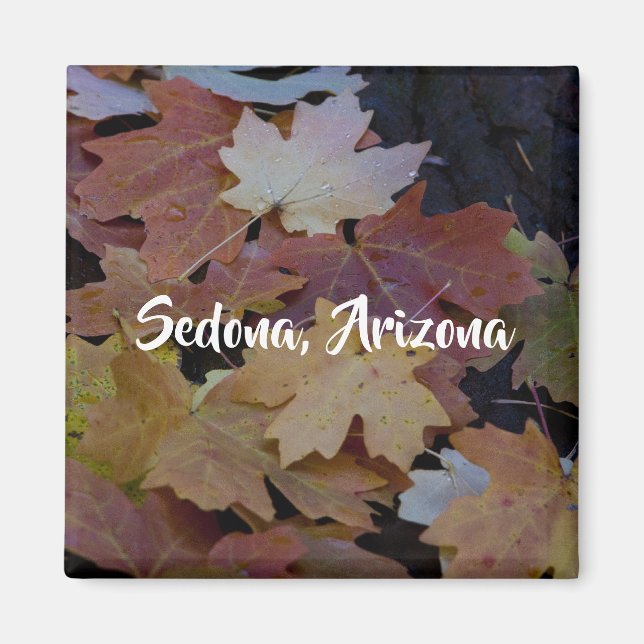 Höst löv överallt, Sedona Arizona Magnet (Framsidan)
