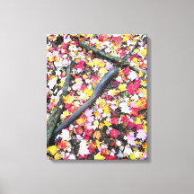 Höst löv på marken