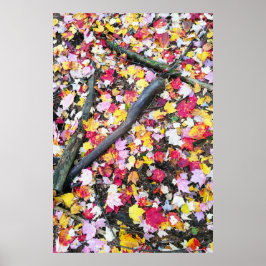 Höst löv på marken poster