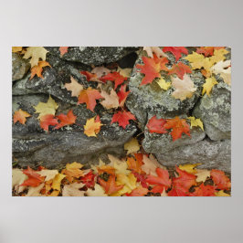 Höst löv på stenvägg, Minute Man Poster