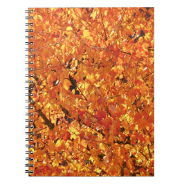Höst löv på Träd - fotografi. Anteckningsbok