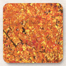 Höst löv på Träd - fotografi.