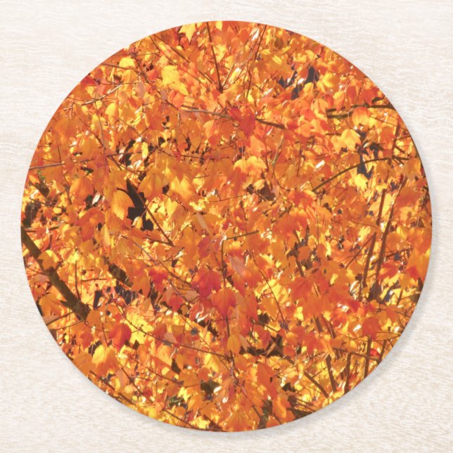 Höst löv på Träd - fotografi. Underlägg Papper Rund (Framsidan)
