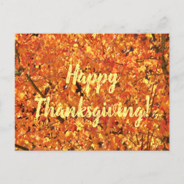 Höst löv på Träd - fotografi. Vykort