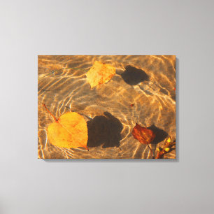 Höst löv på Vatten Canvas by RoseWrites