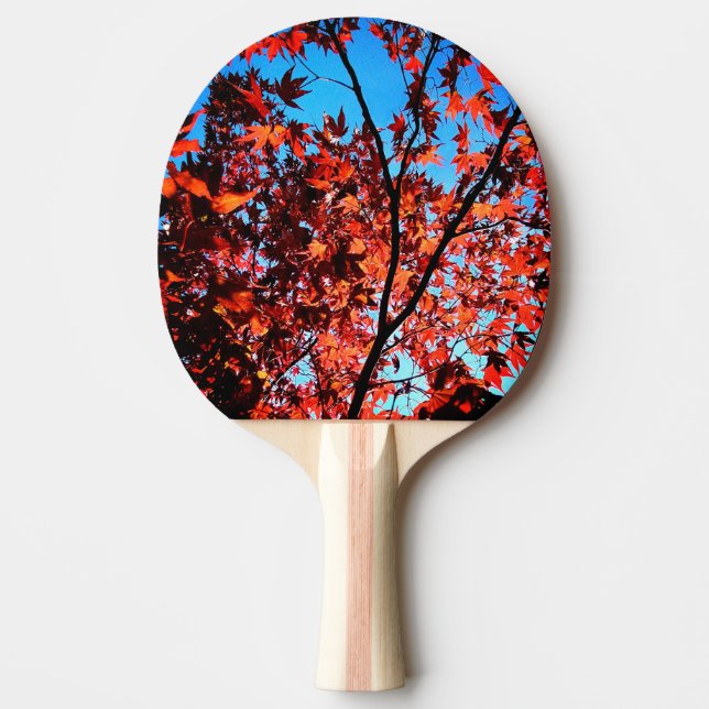 Höst löv pingisracket (Framsidan)