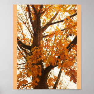 Höst löv poster