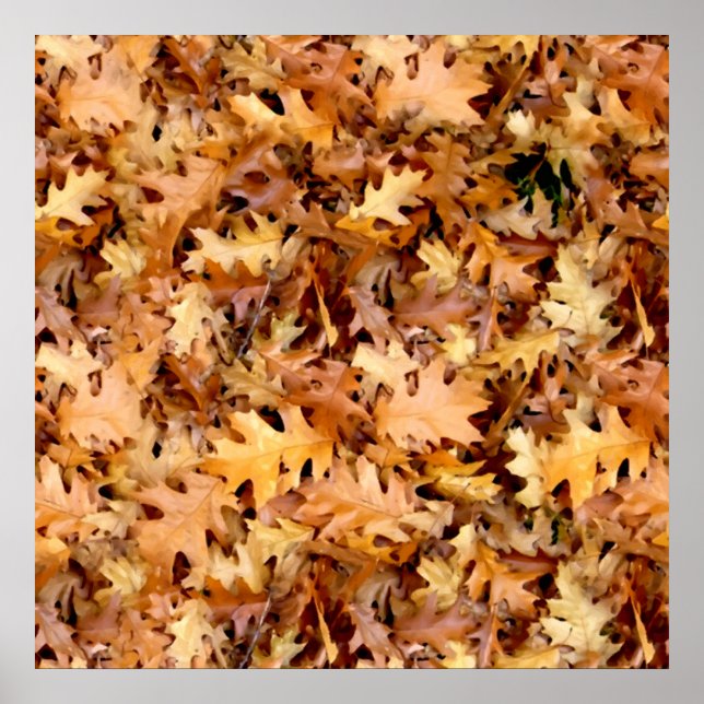 HÖST LÖV POSTER (Framsidan)