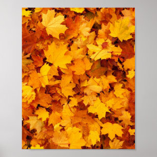 Höst löv poster