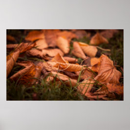 Höst löv poster