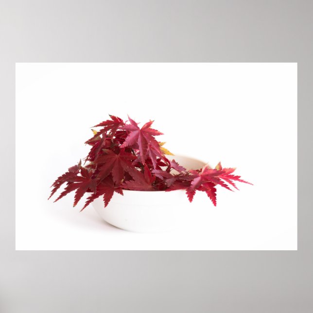 Höst löv poster (Framsidan)