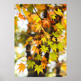 Höst löv poster