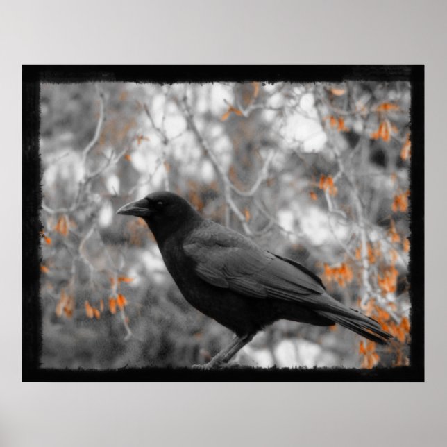 Höst löv poster (Framsidan)