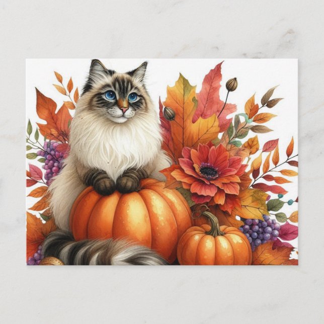 Höst löv Pumpkins and Ragdoll Cat Postcard Vykort (Framsida)
