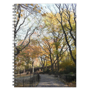 Höst löv Riverside Park New York City NYC Anteckningsbok Med Spiral