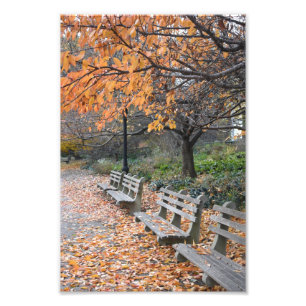 Höst löv Riverside Park New York City NYC Fototryck