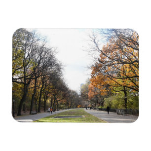Höst löv Riverside Park New York City NYC Magnet