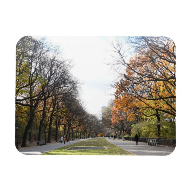 Höst löv Riverside Park New York City NYC Magnet (Horisontell)