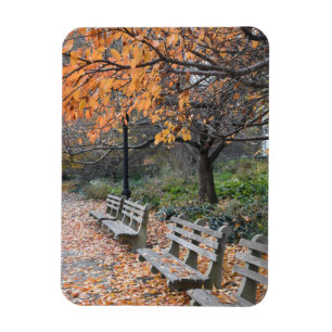 Höst löv Riverside Park New York City NYC Magnet