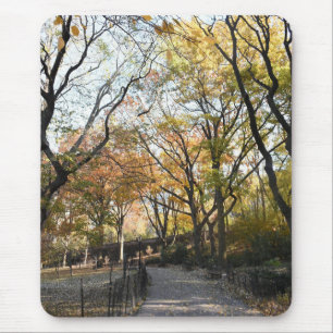 Höst löv Riverside Park New York City NYC Musmatta