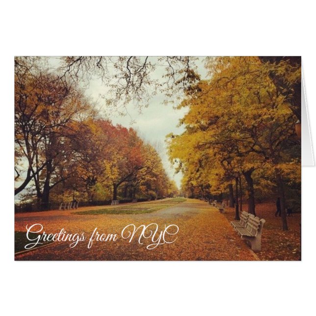Höst löv Riverside Park New York City NYC OBS Kort (Framsidan Horizontal)