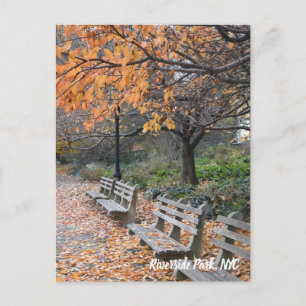 Höst löv Riverside Park New York City Photo Vykort