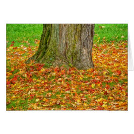 Höst löv runt Träd Hälsningskort