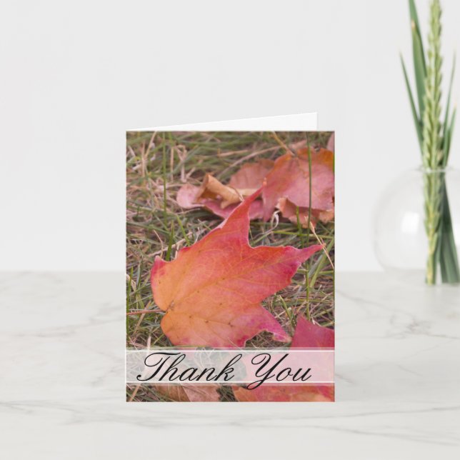 Höst löv Tack (Framsida)