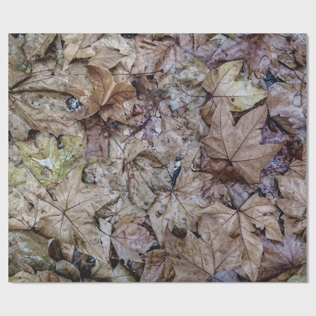 Höst löv-tapetavtryck presentpapper (Platt)