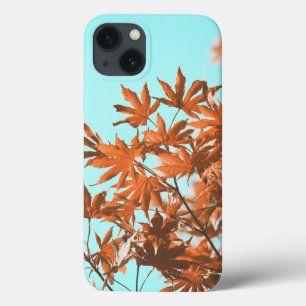 Höst löv Teal och Orange