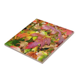 "Höst löv Tile/Trivet Kakelplatta