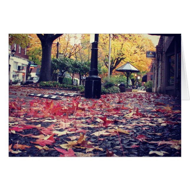 Höst löv trädgångsvy hälsningskort (Framsidan Horizontal)